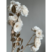 Bloesem tak goud/creme