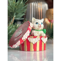 Katje in een feestdoos