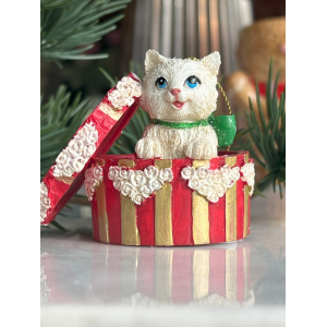 Katje in een feestdoos