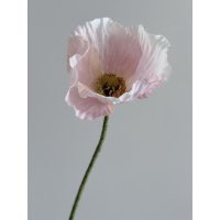 Klaproos zacht roze 61cm