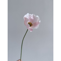 Klaproos zacht roze 61cm