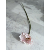 Klaproos zacht roze 61cm