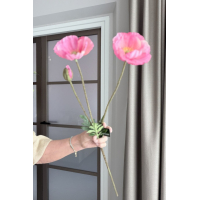 Papaver roze