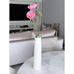 Papaver roze
