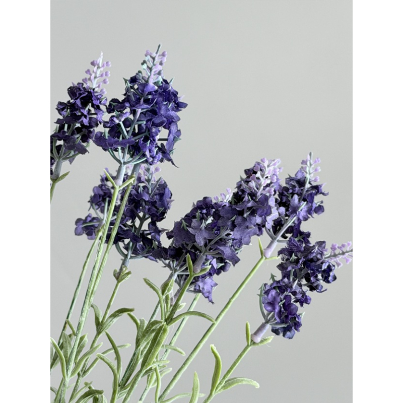 Bosje kunst Lavendel