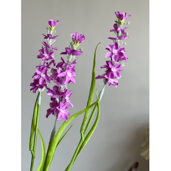 Tak Lavendel 65cm