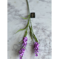 Tak Lavendel 65cm