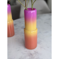 Vaasje Lief met zijde Echinacea