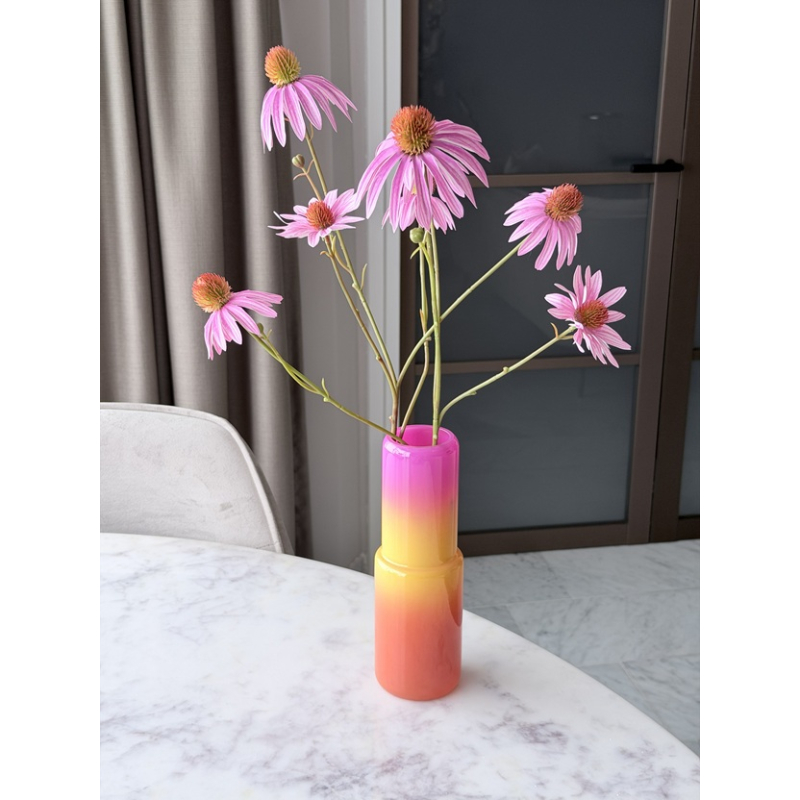 Vaasje Lief met zijde Echinacea