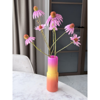 Vaasje Lief met zijde Echinacea