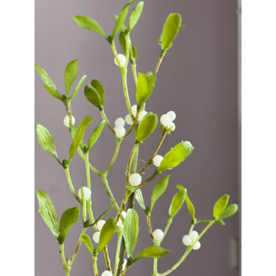 Mistletoe 62cm