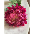 Chrysant fuchsia