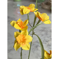 Narcis 68cm