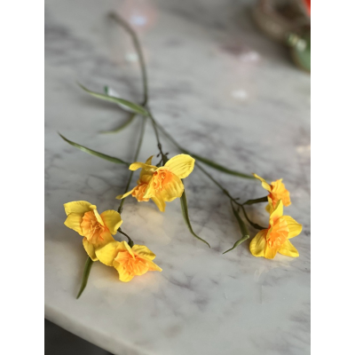 Narcis 68cm