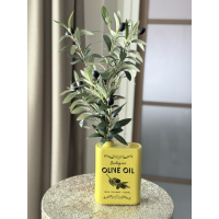 Olive Oil set