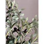 Olijf tak 90cm