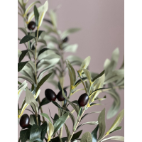 Olijf tak 90cm