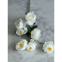 Tak mini Peony 80cm cream