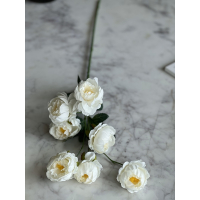 Tak mini Peony 80cm cream