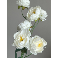 Tak mini Peony 80cm cream