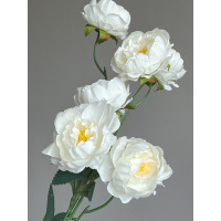 Tak mini Peony 80cm cream