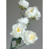 Tak mini Peony 80cm cream