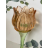 Tulp waxinelichthouder abrikoos 17.5cm