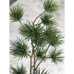 Pine kunst tak