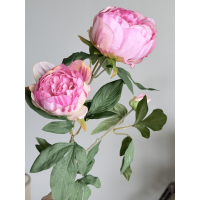 Roze Pioen Rozen 65cm