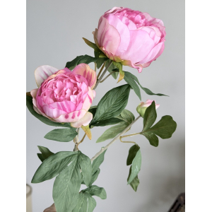 Roze Pioen Rozen 65cm