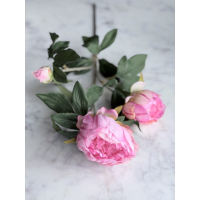 Roze Pioen Rozen 65cm