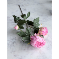 Roze Pioen Rozen 65cm