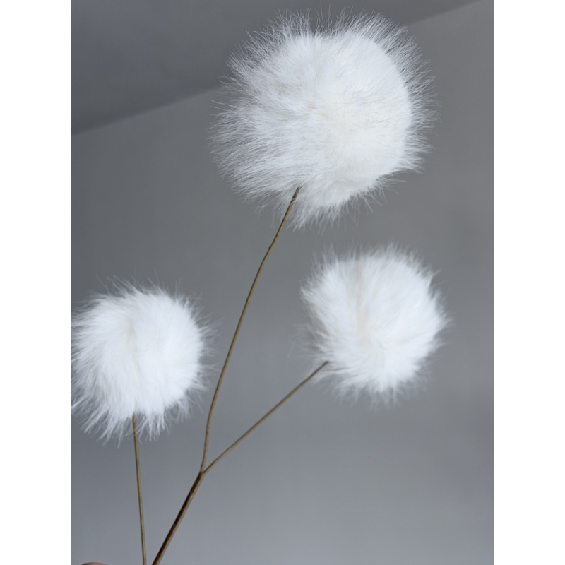 Poms 