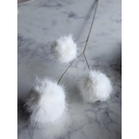 Poms 