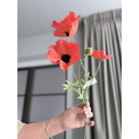 Poppys rood