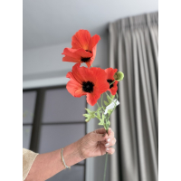 Poppys rood
