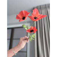 Poppys rood