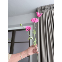 Poppys roze