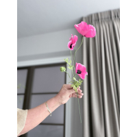 Poppys roze