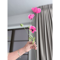 Poppys roze