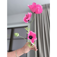 Poppys roze
