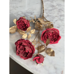 Trosroos rood/goud