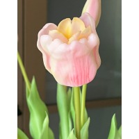 Roze set Tulpen met vaas
