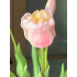 Roze set Tulpen met vaas