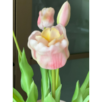 Roze set Tulpen met vaas