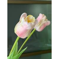 Roze set Tulpen met vaas