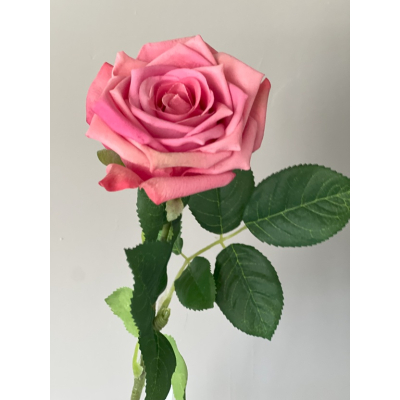 Sandy Roos 72cm Sandy Roos 72cm