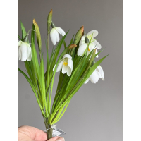 Bosje zijden Sneeuwklokjes