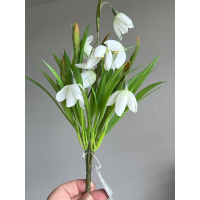 Bosje zijden Sneeuwklokjes