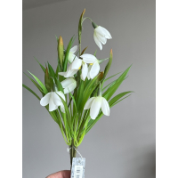 Bosje zijden Sneeuwklokjes